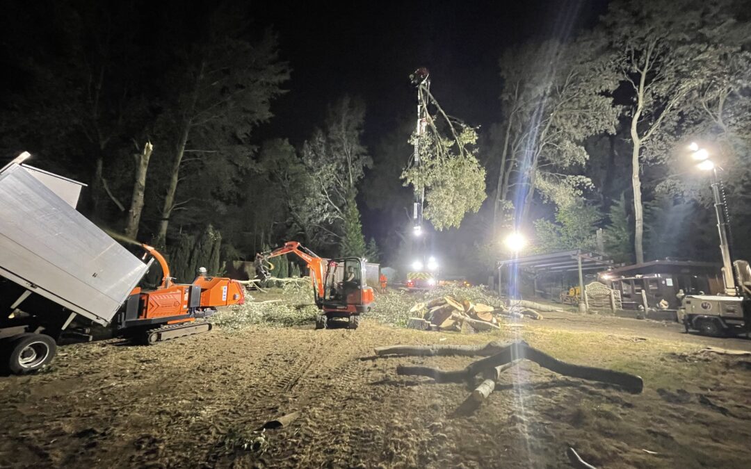 What is GrafterCard? And Why It Matters for the UK Workforce